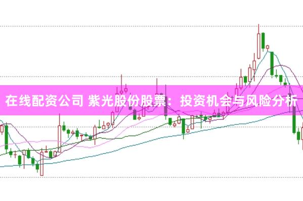 在线配资公司 紫光股份股票：投资机会与风险分析