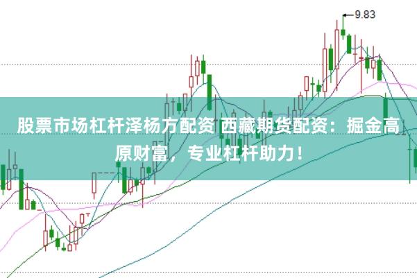 股票市场杠杆泽杨方配资 西藏期货配资：掘金高原财富，专业杠杆助力！