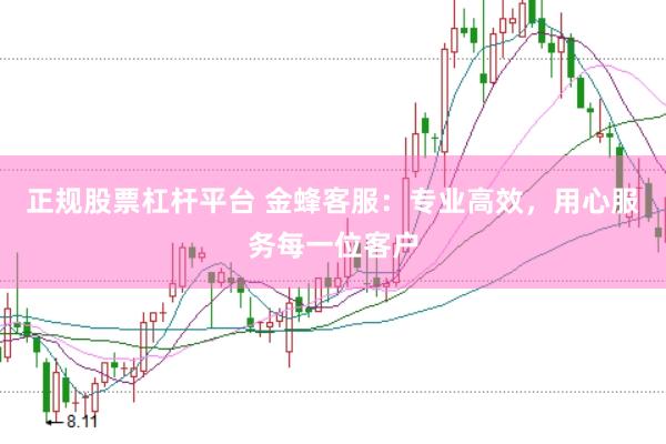 正规股票杠杆平台 金蜂客服：专业高效，用心服务每一位客户