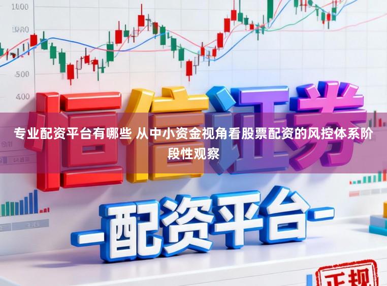 专业配资平台有哪些 从中小资金视角看股票配资的风控体系阶段性观察